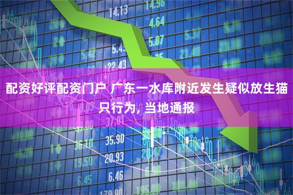 配资好评配资门户 广东一水库附近发生疑似放生猫只行为, 当地通报