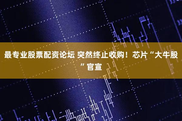 最专业股票配资论坛 突然终止收购！芯片“大牛股”官宣