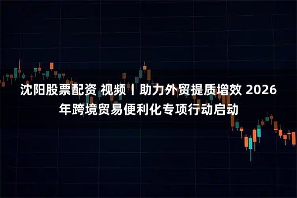 沈阳股票配资 视频丨助力外贸提质增效 2026年跨境贸易便利化专项行动启动